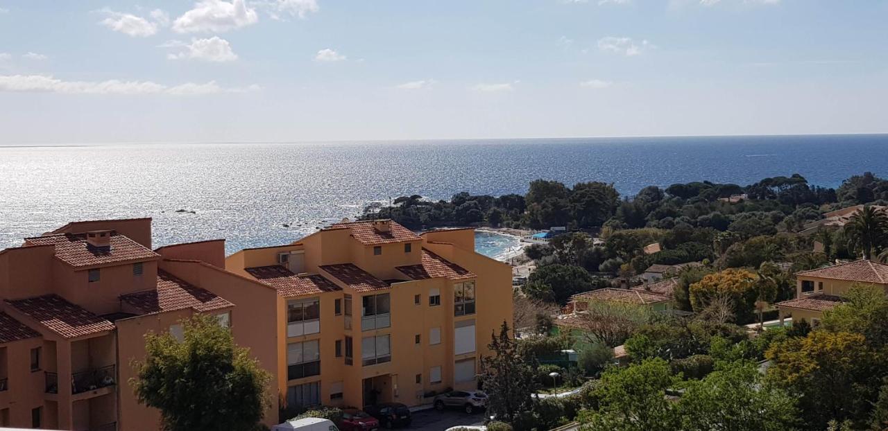 T1 Vue Mer Bord De Mer Ajaccio Ajaccio  Esterno foto